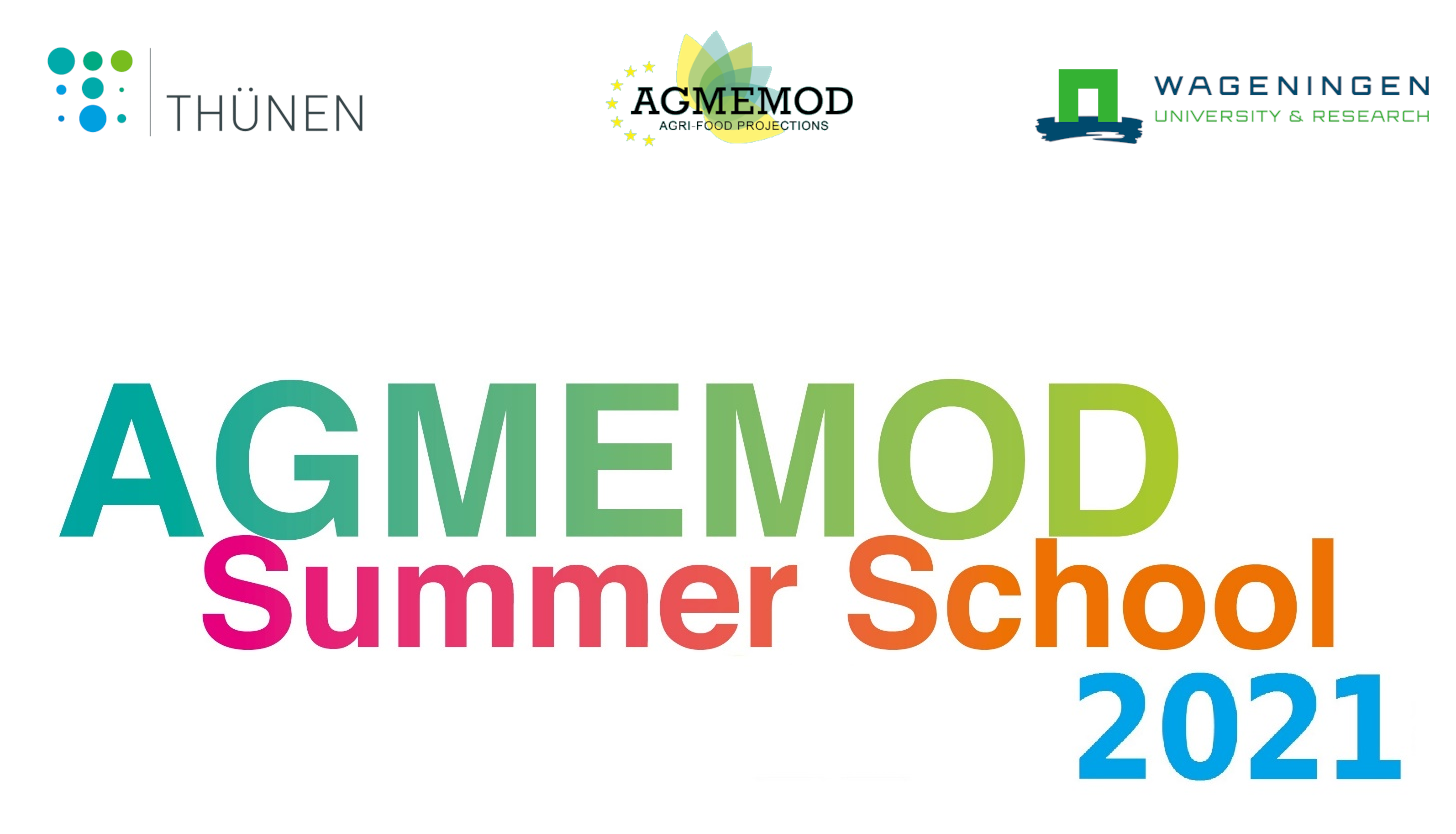AGMEMOD SummerSchool 2021