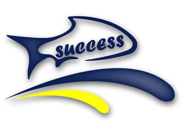 Logo success